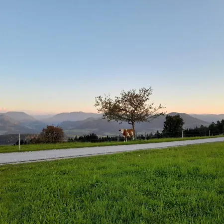 Miniponyhof Biohof Almbauer Apartment *