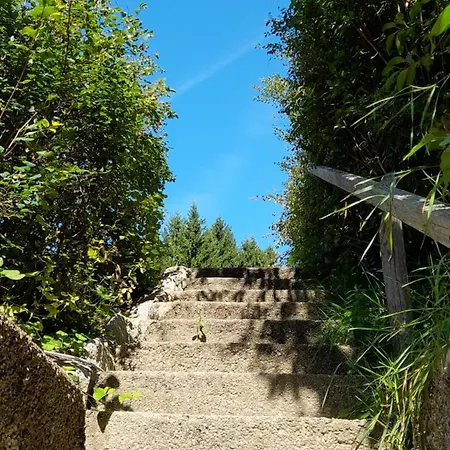 Miniponyhof Biohof Almbauer Apartment *