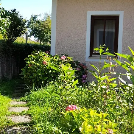 Miniponyhof Biohof Almbauer Waidhofen an der Ybbs