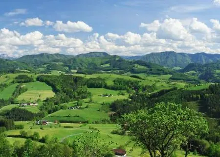 Miniponyhof Biohof Almbauer