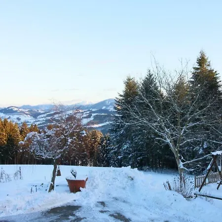 Miniponyhof Biohof Almbauer *