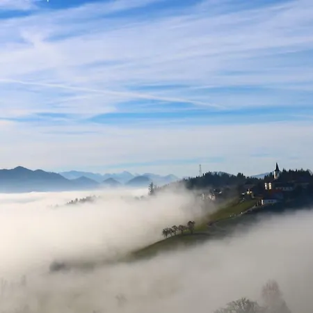 Apartament Miniponyhof Biohof Almbauer *