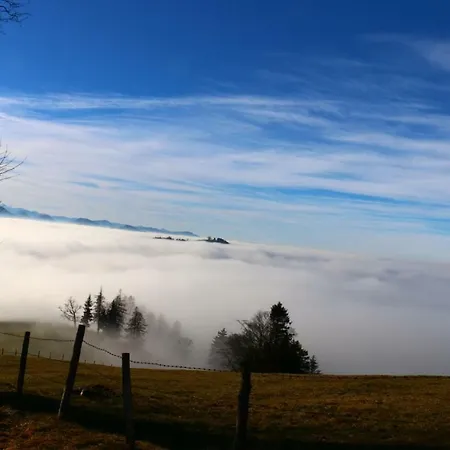 Miniponyhof Biohof Almbauer *