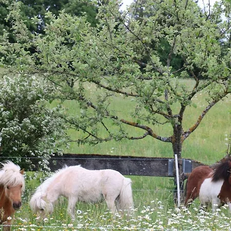 Apartament Miniponyhof Biohof Almbauer Waidhofen an der Ybbs