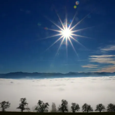 Miniponyhof Biohof Almbauer Waidhofen an der Ybbs