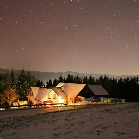 Apartament Miniponyhof Biohof Almbauer