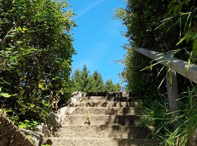 Miniponyhof Biohof Almbauer Apartamento *