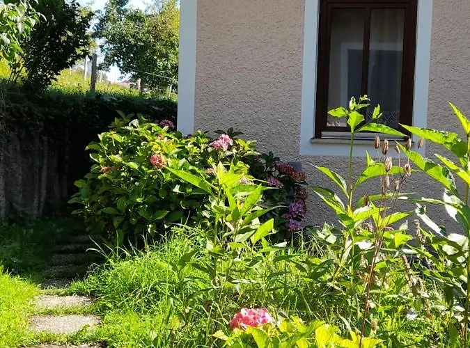 Miniponyhof Biohof Almbauer Waidhofen an der Ybbs