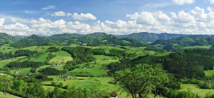 Miniponyhof Biohof Almbauer