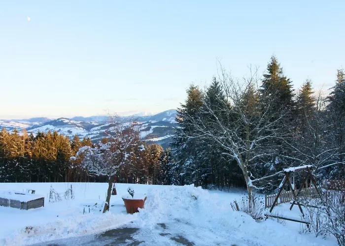 Miniponyhof Biohof Almbauer *