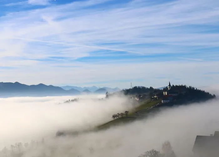 Apartment Miniponyhof Biohof Almbauer *