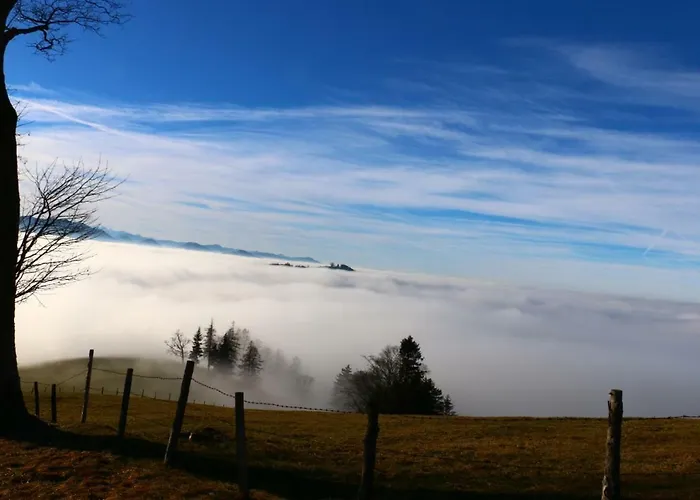 Miniponyhof Biohof Almbauer *
