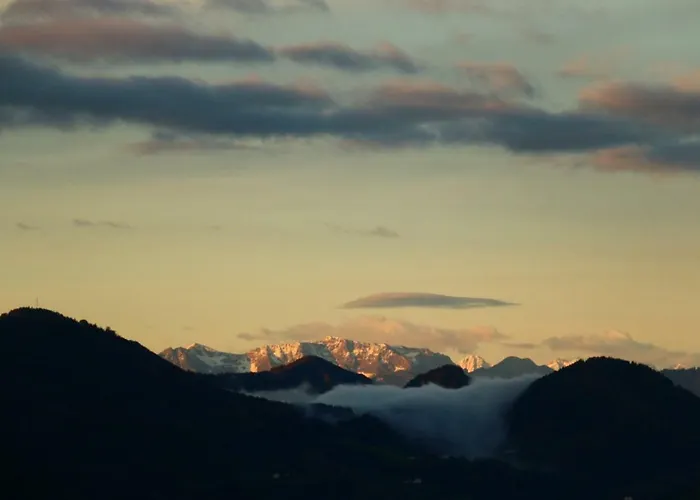 Miniponyhof Biohof Almbauer