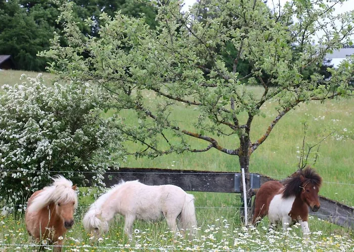 Apartment Miniponyhof Biohof Almbauer Waidhofen an der Ybbs