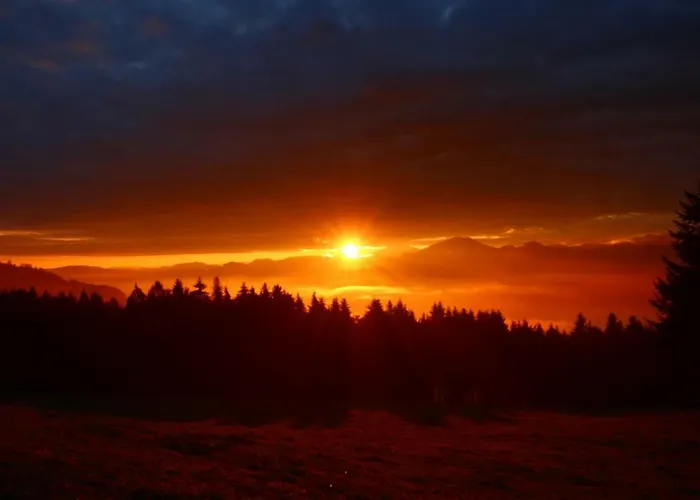 Miniponyhof Biohof Almbauer Apartment