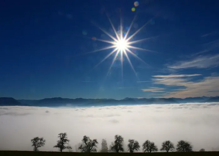 Miniponyhof Biohof Almbauer Waidhofen an der Ybbs
