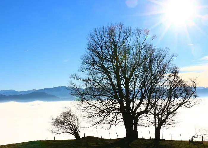 Apartamento Miniponyhof Biohof Almbauer *