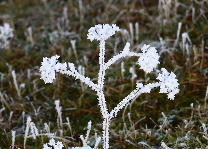 Miniponyhof Biohof Almbauer Apartamento *