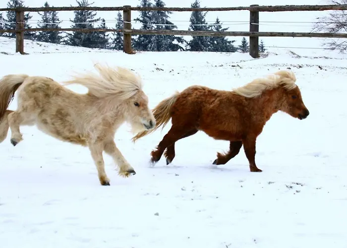 Apartamento Miniponyhof Biohof Almbauer *